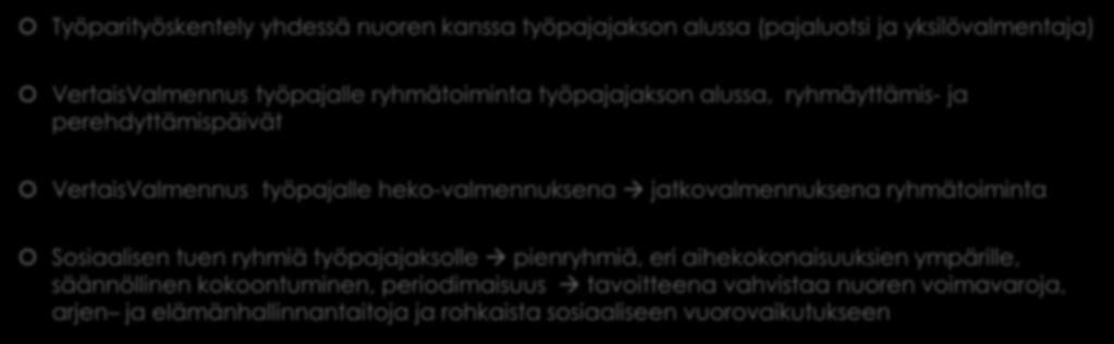 Hankkeessa tehdyt merkittävät huomiot 1/2 Työparityöskentely yhdessä nuoren kanssa työpajajakson alussa (pajaluotsi ja yksilövalmentaja) VertaisValmennus työpajalle ryhmätoiminta työpajajakson