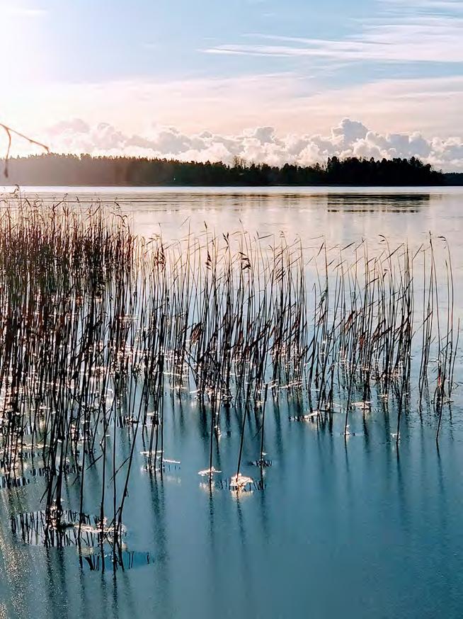 Antroposofinen Tapahtumakalenteri Kevät 2018 Kuva Tuulikki Sarekoski Suomen antroposofisen liiton tiedotelehti 1/2018