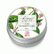 Mint minttu 15ml UUSI 5,39 22,32 Karpalo- ja pihlajanmarjauutetta