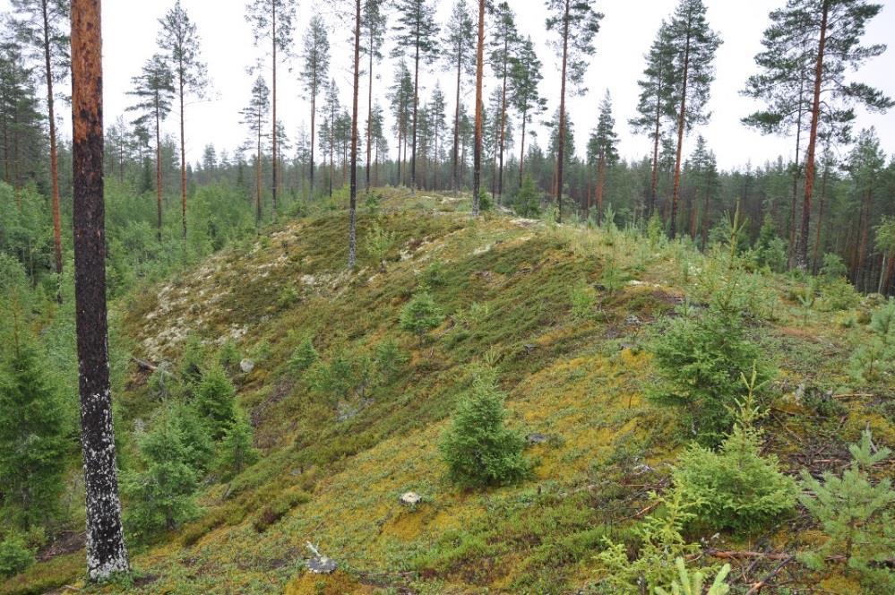 KESKI-SUOMEN HARJUKOHTEET -