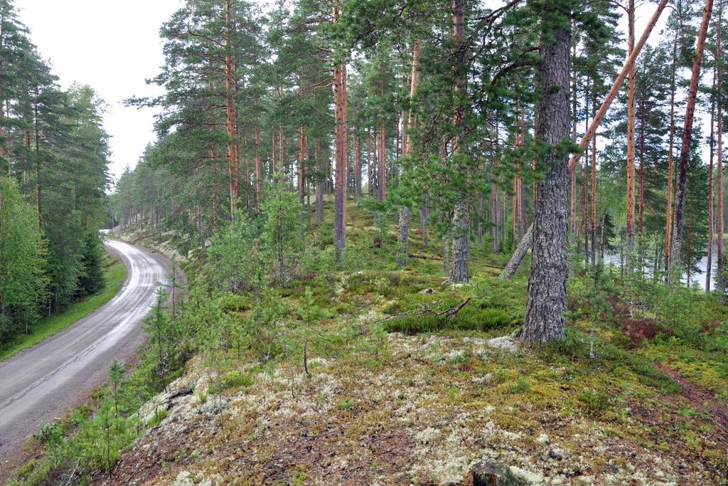 16 re. Kasvillisuus on pääosin VT-kangasta. Harjukuoppien rinteillä kasvillisuus muuttuu CT-kankaaksi. Lajistoon kuuluvat mm. keltalieko, mäntykukka ja teeri.