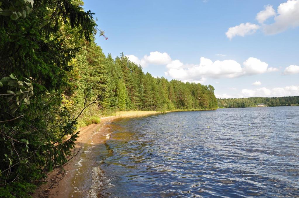 34 Kuva 7. Jämsän Rasuanniemi on Kankarisveteen työntyvä harjuniemi Kolmentoista harjukohteen arvo nousi paikallisesta maakunnalliseksi.