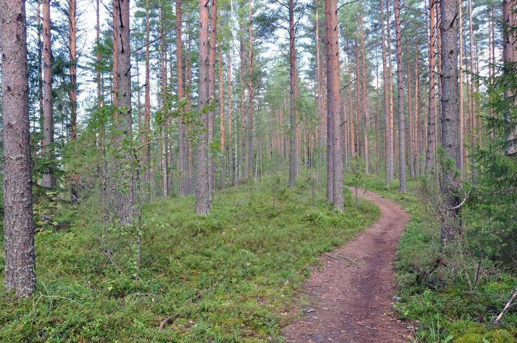 5 3. Harjuluonto Keski-Suomen harjuluonnosta tehtiin tutkimus vuosina 1974 1980 (Anon. 1981).