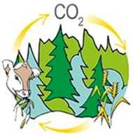 Biomassan kasvu sitoo hiiltä me ja luonto kierrätämme Kun me kuluttajat kulutamme hiiltä, eli ruokaa ja puuta, päästämme kasvihuonekaasuja ilmaan.