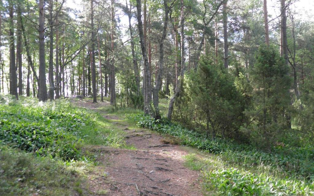 8 (11) Kuva 10: Käräjämäki. Perinnemaisemat Lounais-Suomen ympäristökeskuksen toimialueella kartoitettiin perinnemaisemia vuosina 1992-1997 osana valtakunnallista perinnemaisemainventointia.