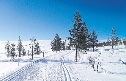 4 Lakeuden Risti // Tapahtumaliite Lappiin pääsiäisenä Luther-näytelmän esitykset Sorja ja Aventura de Arcos soivat joulua Pääsiäisen aikaan Lapin hanget ovat parhaimmillaan. Viikolla 14 (31.3. 7.4.) Seinäjoen seurakunta järjestää hiihtoreissun Saariselälle.