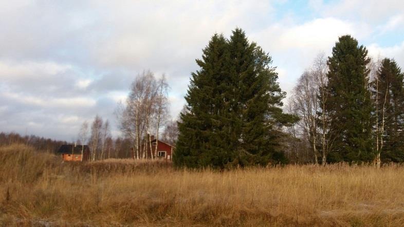 sivuilta Tietäjän taipale kortteli 8