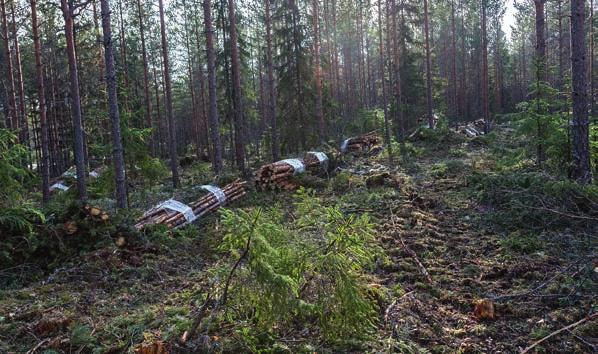 Paalaamisen etuna on myös se, että risujen ajaminen metsästä ei kauaa kestä. YHTEENSOPIVA PAKETTI.