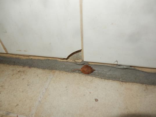 Tilan lattiassa ja seinissä ei havaittu kohonnutta kosteutta, eikä rakenteiden pinnoilla päällepäin näkyviä merkkejä kosteusvaurioista.