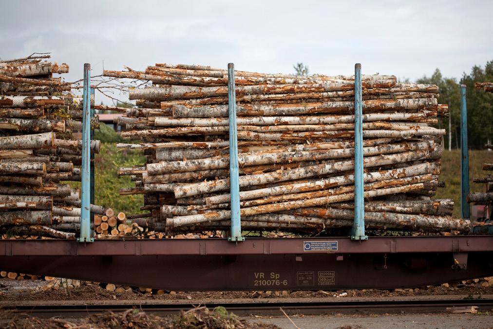 Metsävero-opas 2018 sivu 2 Sisältö Pääkirjoitus Veroilmoituksen täyttö 3 4 Metsävero-opas 2018 Julkaisija: OP Osuuskunta Petri Kortejärvi etunimi.sukunimi@op.fi op.