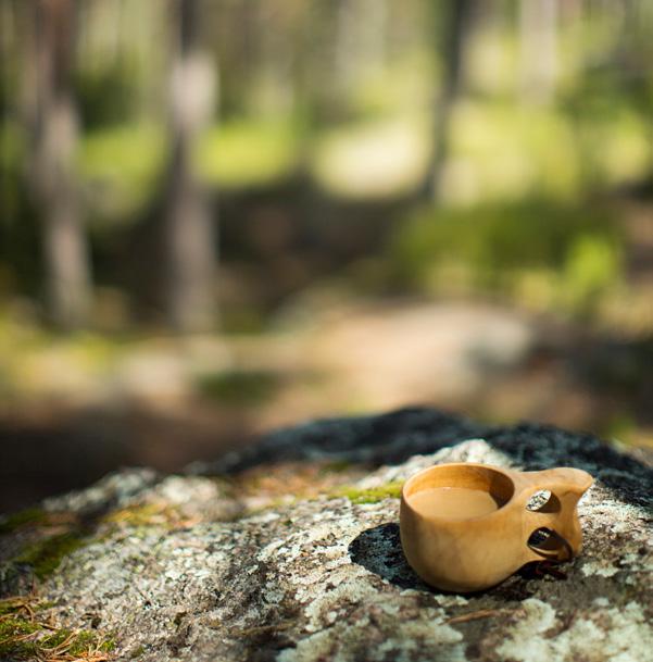 Metsävero-opas 2018 sivu 4 Tiivistetty täyttöohje ROOPE PERMANTO Veroilmoituksen täyttö Merkittävä osa metsänomistajista selviää metsätalouden veroilmoituksen täytöstä varsin vähällä vaivalla.