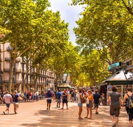 Panoraamakierroksen jälkeen voit tutustua kaupunkiin omaan tahtiisi ihastuttavan Barrio Góticon goottilaiset korttelit, La Ribera ja Sant Pere kannattaa käydä kokemassa.