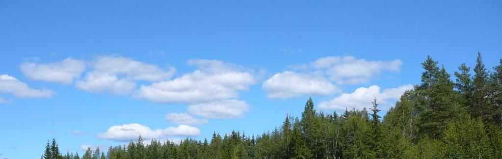 Kaavan lähtökohdat Alue on tällä hetkellä suurelta osin rakentamatonta metsäaluetta, alueen lounaisnurkalla on peltonäkymä liittymästä itään