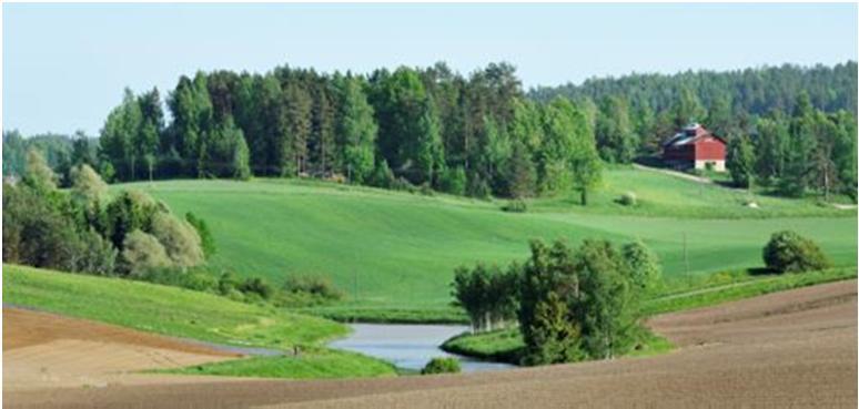 Miksi arviointia tarvitaan tukemaan toimintaohjelman laadintaa?