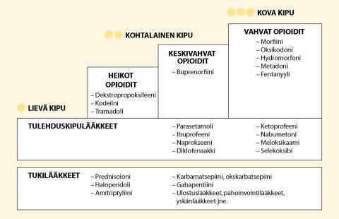 18 Kuva 1. WHO:n suosittelema porrastettu kivunhoitomalli (Terveyskirjasto 2007 [viitattu 19.10.2009].) 3.