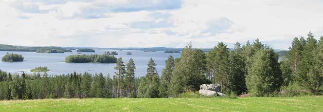 Koitere kuuluu valtakunnallisten rantojensuojelu- ja harjujensuojeluohjelmien piiriin. Selkäsaariston alue kuuluu rantojensuojeluohjelmaan.