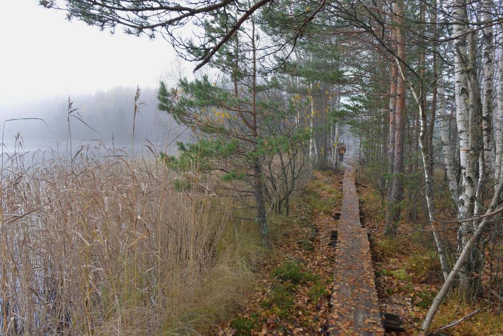 Tunnelmaa