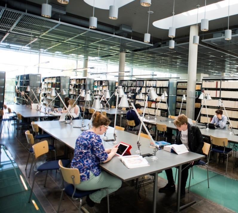 Korkeakoululaitoksen ja tutkintorakenteen kehittäminen on opetus- ja kulttuuriministeriön