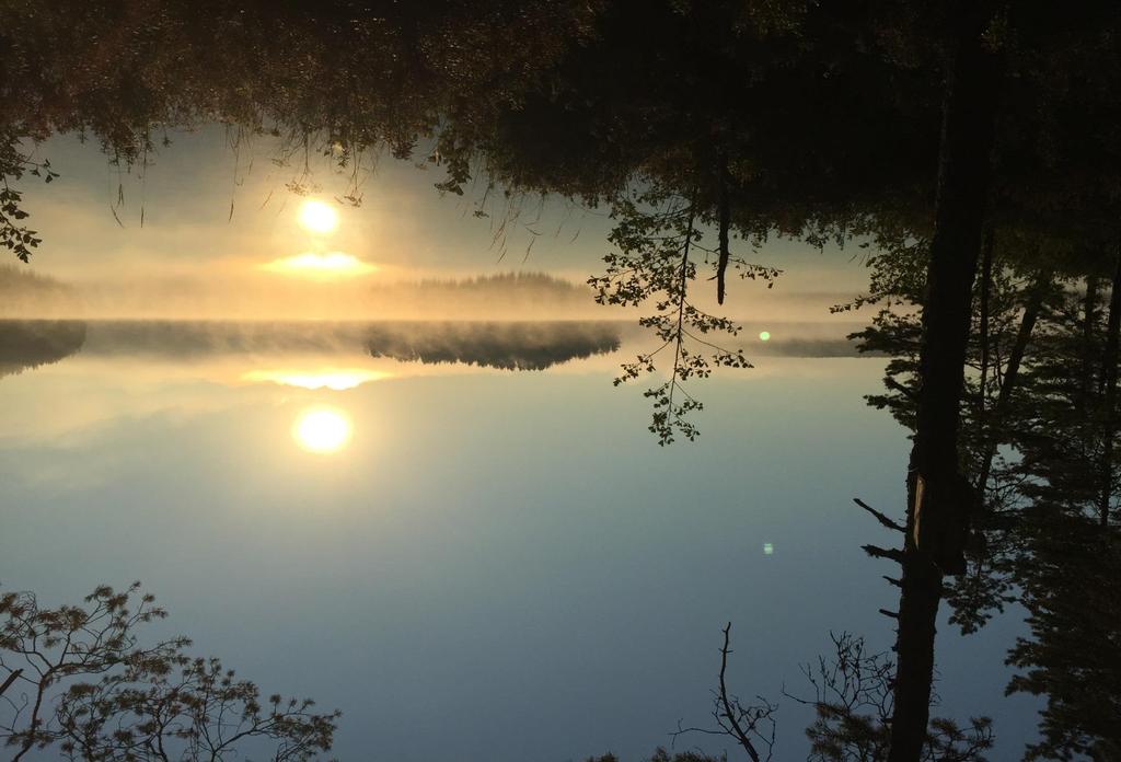 Osallinen ihminen kokee olevansa merkityksellinen osa kokonaisuutta. Hän tulee kuulluksi itsenään ja vaikuttaa elämänsä kulkuun ja ympäristöönsä. -Sokra-hanke Kiitos!