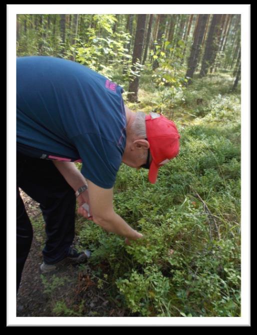 Asiakkailta kerättyjä Green Care toiveita Sienestäminen, marjastaminen ja kalastaminen Niiden käyttäminen esimerkiksi leivonnassa Eläinten hoivaaminen ja silittely Luonnossa