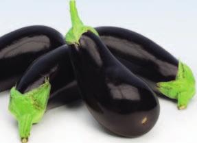 Espanja  3