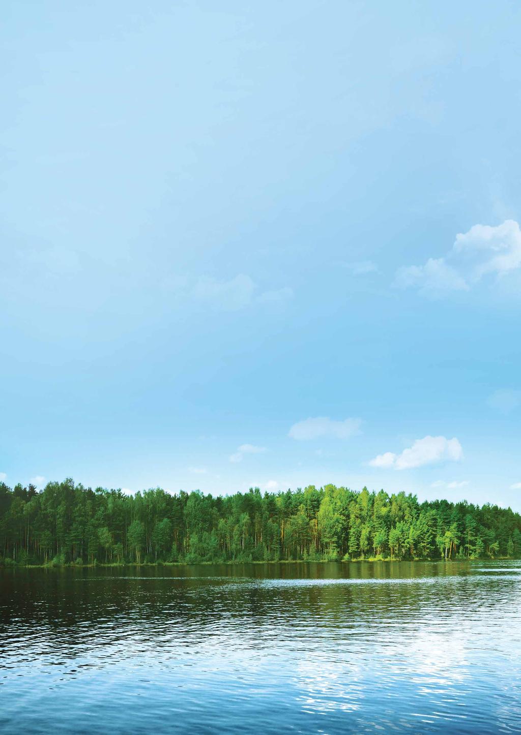 UB Metsä parempi tuotto metsäomaisuudelle Erikoissijoitusrahasto UB Metsän vahvuutena ovat ainutlaatuiset prosessit sekä metsäomaisuuden ammattimainen hoitaminen.