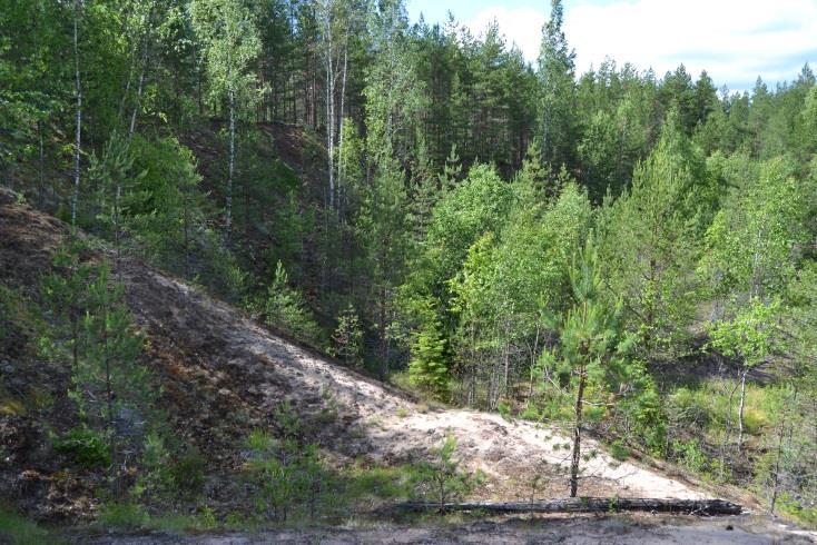 24 Taulukko 9. Hauenkuonon pohjavesialueella olevat SOKKA-kohteet.
