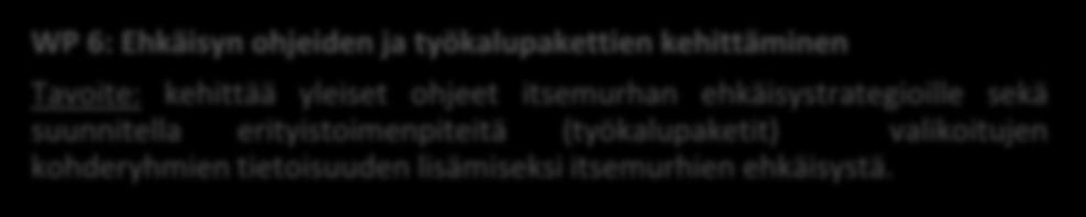 WP 5: Datasovellusmallin kehittäminen Tavoite: tuottaa tarvittava tieto itsemurhien ehkäisyyn tarkoitetun integroidun tuki- ja interventiokehyksen laatimiseksi