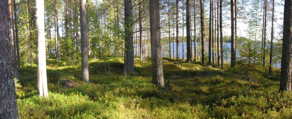 22 Osayleiskaavaa alueelle ei ole laadittu eikä ole suunnitteillakaan. Ranta-asemakaava pyritään laatimaan siten, että kaava olisi toteuttamiskelpoinen.