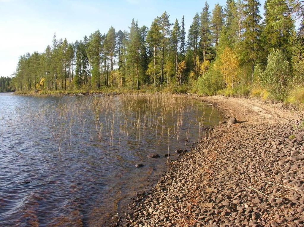 24 Kuva 23 Enonperänlahden itäpuolen rantaa Vaikutukset luontoon ja luonnonympäristöön Rakentaminen muuttaa hieman kohdealueen maa- ja kallioperän pintakerroksia.