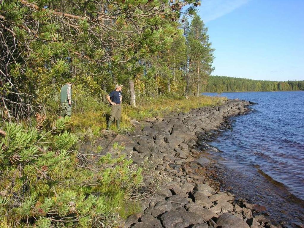 30 5.3. Aluevaraukset 5.3.1. Korttelialueet RA -kortteleiden pinta-alat ovat yhteensä 42040 m2 ja niissä on rakennusoikeutta yhteensä 1150 k-m2. Rakennuspaikan keskimääräinen koko on n. 8400 m2.