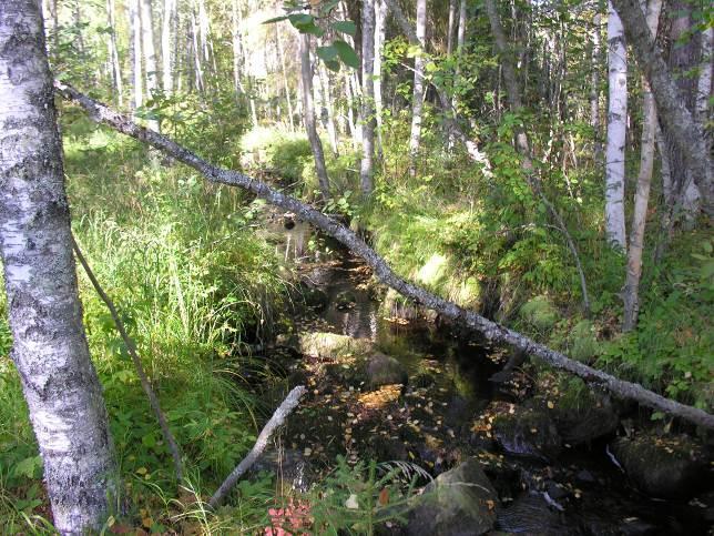 31 Kuva 31 Laajanpuro. Vasen kuva tien läheltä ja oikea kuva järven päästä Kuva 32 Hepolahti.