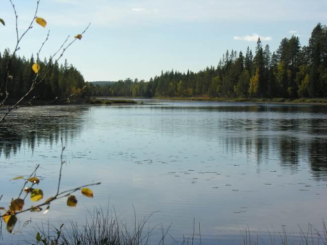 2000 astuneen asetuksen kaavamerkintöjä. 5.7. Nimistö Kuhmon kaupunki nimeää tiet rakentamisen edistymisen mukaan. 6.