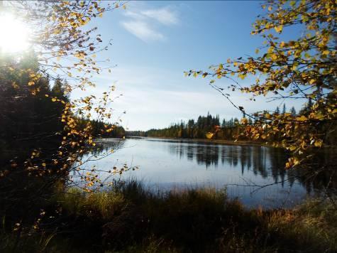 Vasemmalla tyypillistä harvennettua lievästi soistuvaa rantaa Hepovaaran kohdalla. Oikealla kuva hieman lähempää Hepolahden suuta. Lähde kuvasta oikealle ylempänä rinteessä. Puusto on tavanomaista.