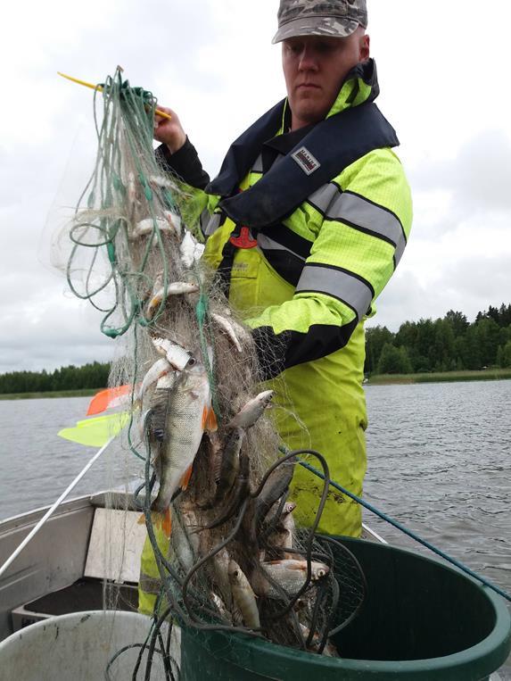 2 (13) Sisällys Johdanto... 3 Verkkokoekalastukset... 3 Aineisto ja menetelmät... 3 Ekologisen tilan luokittelu... 4 Tulokset.