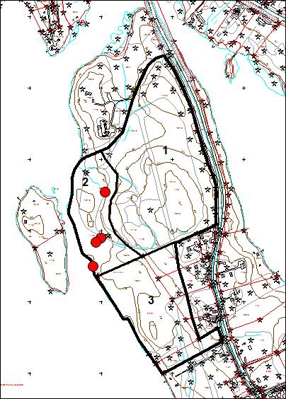Kuva 1. Salmenkylän selvitysalue. Osa-alueen raja = musta viiva. Liito-oravahavainto = punainen piste. Mittakaava noin 1: 7 500. 1. Pohjoisosa Selvitysalueen pohjoisosassa on kaksi korkeaa metsäpeitteistä mäkeä.