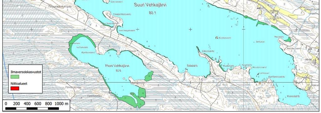 Ennakkoselvitysvaiheessa katsottiin selvitysalueella tarvittavan lajistoselvityksiä vesilinnuston, viitasammakon ja sudenkorentojen osalta.