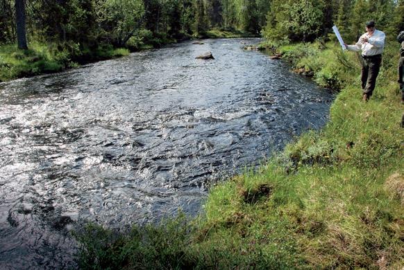 Kalavesien hoito Jokin vilahtaa rantavedestä. Juhani Strömberg hymyilee, sillä siitä saattoi lähteä saamelaisten kuer tai kujer. Nimitys tarkoittaa taimenta, joka nousee jokeen aikaisin keväällä.