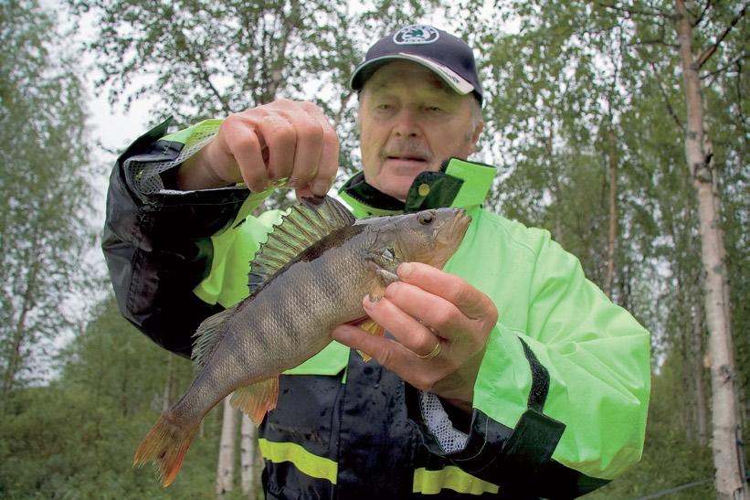 Kalastusluvat: pyydysluvat Teksti ja kuvat Tuomo Pirttimaa Katiska on kovallekin kalamiehelle kätevä pyydys Valtion vedet ovat kuoppaisen tuntuisia, kun navakka tuuli puhaltaa Taivalkosken