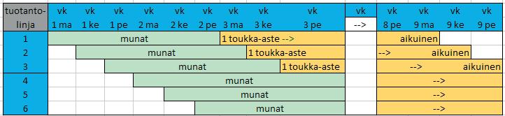 Taulukko 10: Sirkkatuotannon teoreettinen aikataulu, josta on erotettu 3 tuotantolinjaa per viikko Useampi tuotantolinja viikossa vaikeuttaa tuotannon logistiikkaa ja lisää työtä.