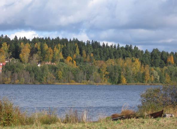 miin ja kulttuurimaisemiin. Luonnonmaisemia ovat mm. sellaiset metsät, suot ja vesistöt, joissa ihmistoiminnan jäljet eivät näy ainakaan korostuneesti.