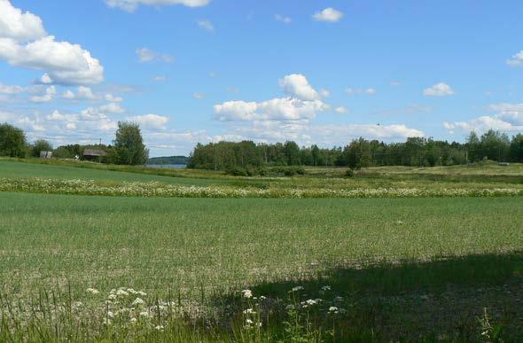 Usein kulttuurimaisemasta nostetaan erikseen kaupunkimaisemat ja maaseudun kulttuurimaisemat, jonka erikoisuutena voidaan edelleen nähdä perinnemaisemat.