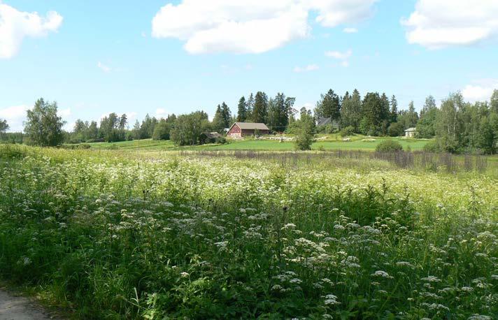 Historiallinen Avoimissa maisematiloissa on lähes poikkeuksetta kyse ihmistoiminnan tuottamasta ja muuttamasta ympäristöstä.