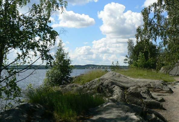 Aktiivisen hoidon ulkopuolella olevia avoimia maisemia myös hallitsee samat kehitysprosessit kuin varsinaisia luonnontilaisia avoimia alueitakin.