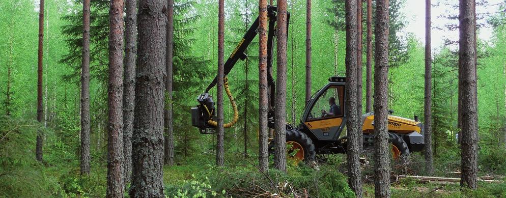 Hoitamattomuus aiheuttaa kasvutappioita ja tulomahdollisuudet vähenevät. Vähitellen metsien arvo laskee, mikä ei ole yhdenkään osakkaan etu.