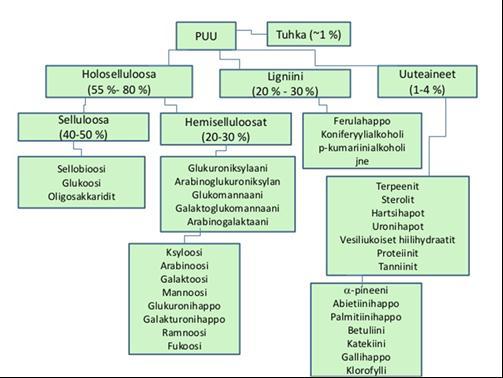 24 Eri puulajien koostumukset eroavat toisistaan huomattavasti. Suomen pääpuulajien keskimääräiset osuudet ovat: holoselluloosa (55 80 %), ligniini (20 30%) ja uuteaineet (1 4 %) (kuva 8).