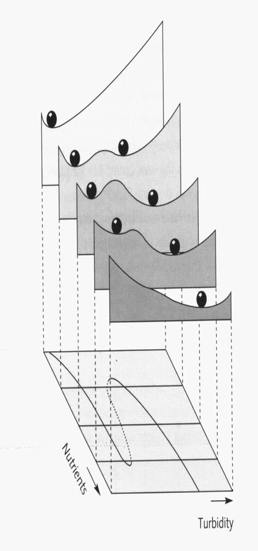 Kaksi tasapainotilaa (two eqilibria, Scheffer et al. 1993.