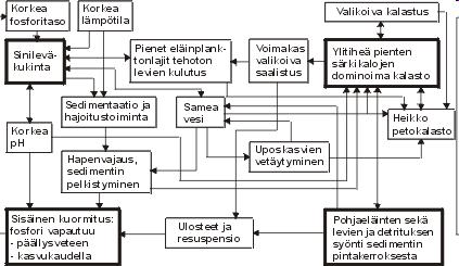 Rehevöityminen