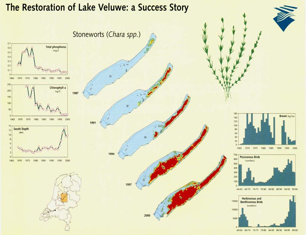 Esimerkkitapauksia Näkinpartaislevän runsastuminen ravintoketjukunnostuksen jälkeen Hollantilaisessa järvessä 1979