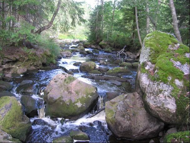 Kuva 31. Mustajoen alinta koskea Kuva 32. Ylänteenkoski 7.10.2 Pääjärvi Pääjärvi on yli 1300 ha:n suuruinen järvi, jonka syvin kohta ulottuu yli 80 m syvyyteen.